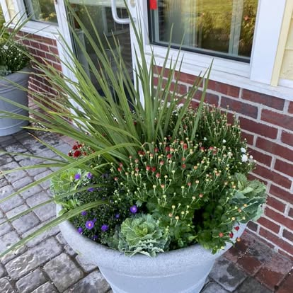 Seasonal planter with ornamental grass, flowers and foliage